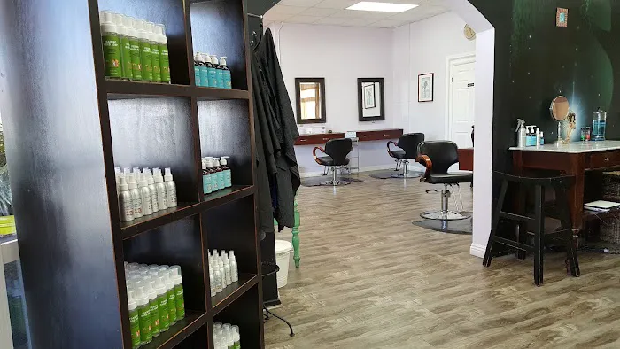 Hair Fairies The Head Lice Helpers Los Angeles Picture 10