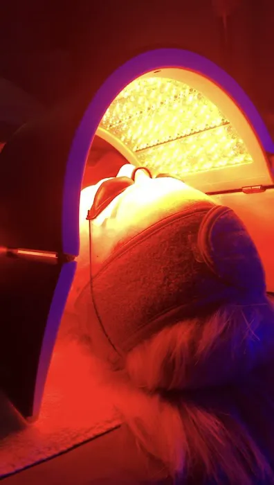 Sarah Skin Artist Picture 9