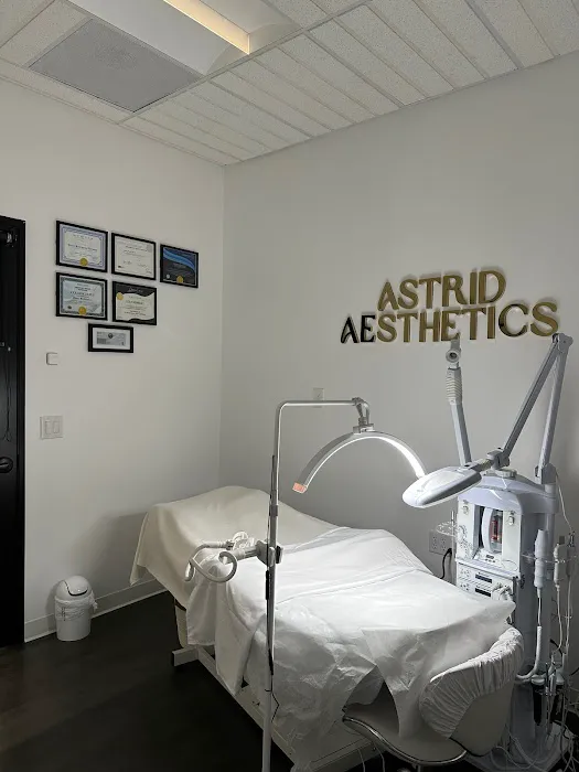 Astrid Aesthetics Picture 7