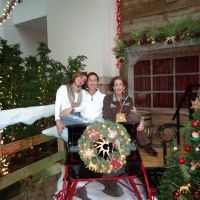 Skin Fitness,LLC ico