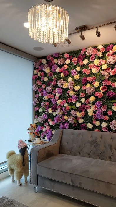 Ageless MD Picture 5