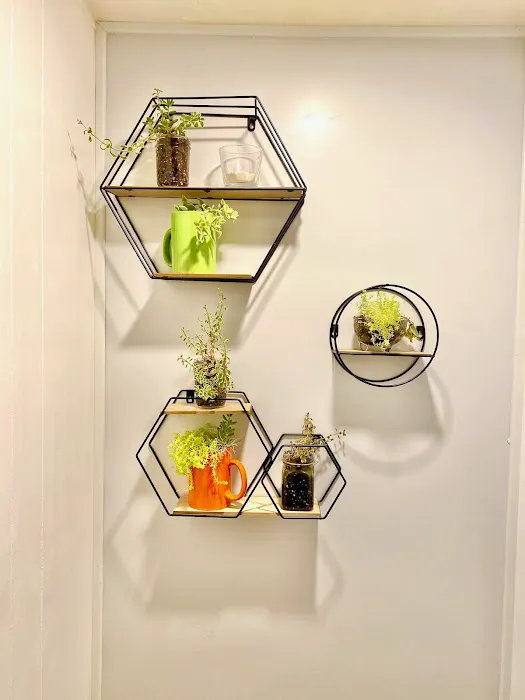 Privileged - Arcadia Picture 1