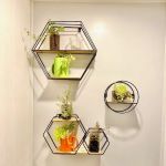 Privileged - Arcadia