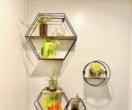 Privileged - Arcadia