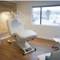 Sheila Hedlund, The Skin Fairy ico