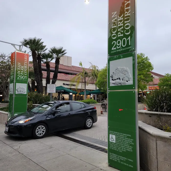 Sylvia Shapiro Skin Care & Electrolysis Picture 3