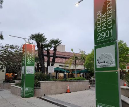 Sylvia Shapiro Skin Care & Electrolysis