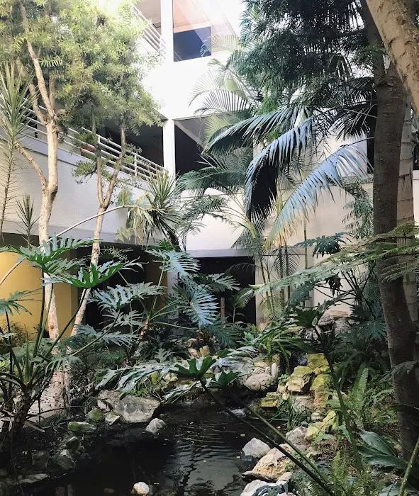 THE MODERN Ū Picture 5