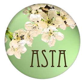 Asta Skin & Body Care Picture 2