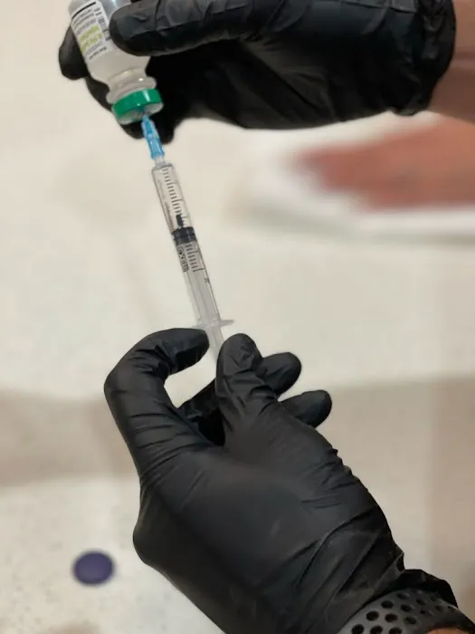 Timeless Beauty Picture 3