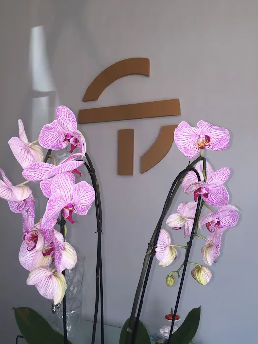 Skin Thesis Picture 8