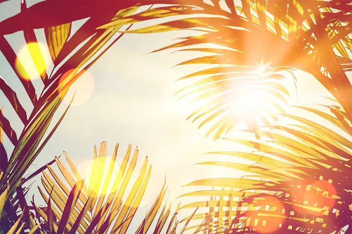 SeaCliff Spa Hydrafacials Picture 5