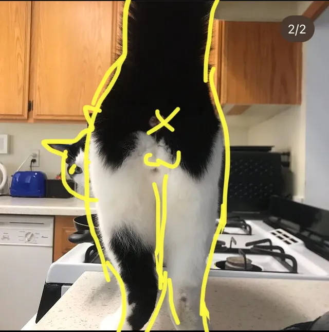 Beauty Studios OC Picture 9