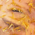 Supportive Skin Therapy