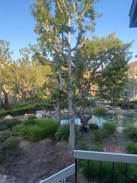 Sustayn Asthetik Picture 4