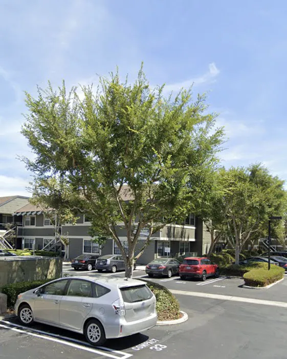 Purple Rose Esthetics Picture 3