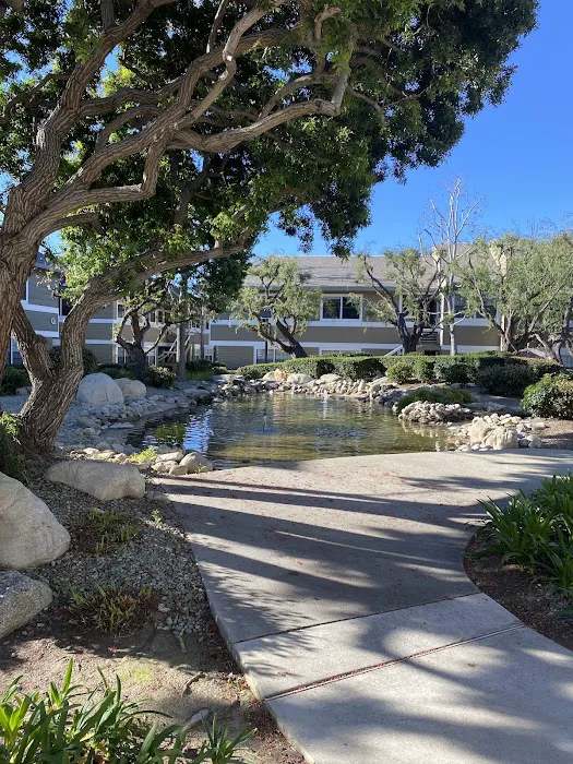 Purple Rose Esthetics Picture 1