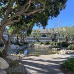 Purple Rose Esthetics