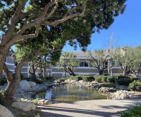 Purple Rose Esthetics