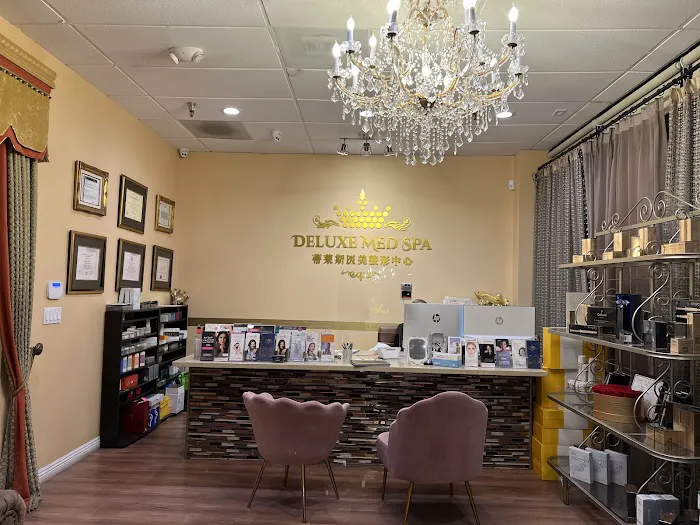 Deluxe Med Spa Picture 5