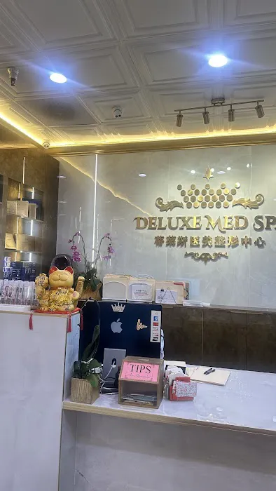 Deluxe Med Spa Picture 9