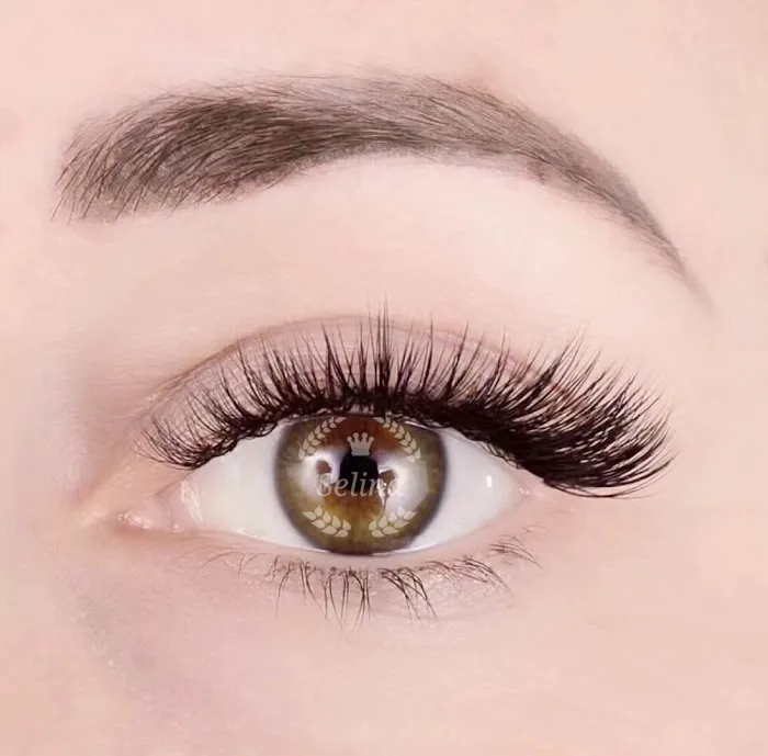 Lashes and brows beauty Picture 4