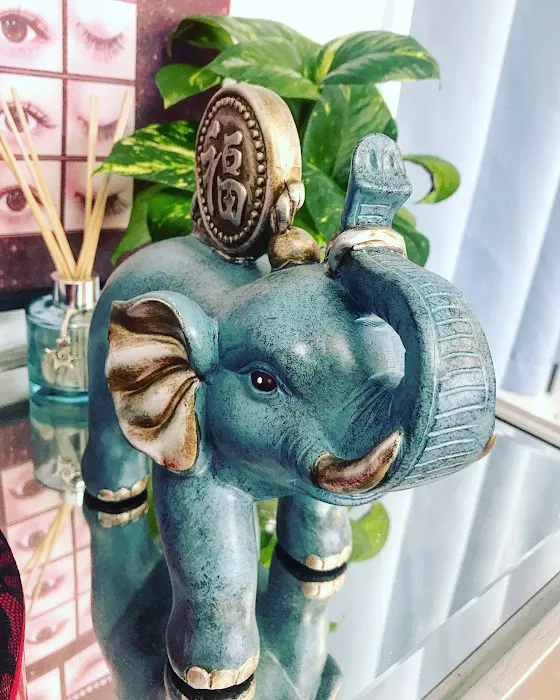 Lashes and brows beauty Picture 3