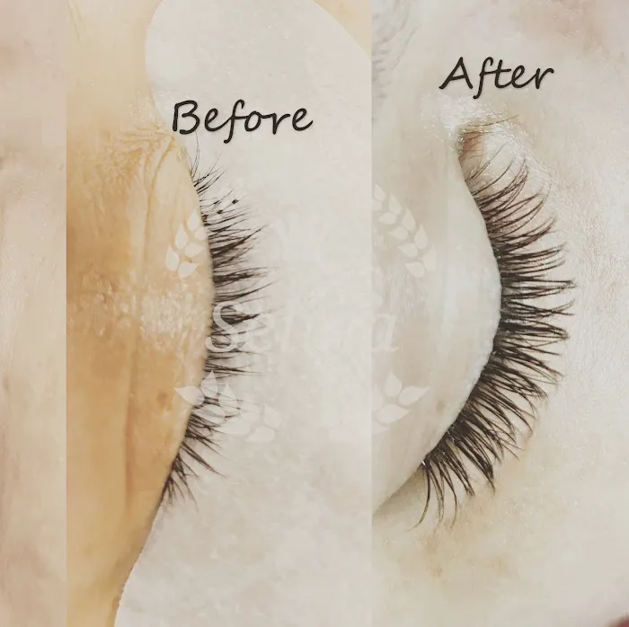 Lashes and brows beauty Picture 6