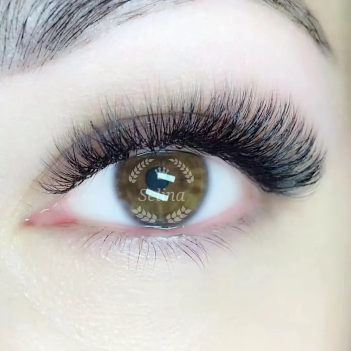 Lashes and brows beauty Picture 10
