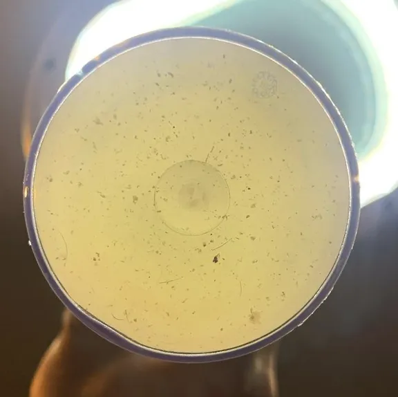 Skin by Meg Picture 8