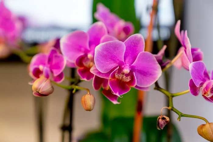 Laser Clinic Picture 5