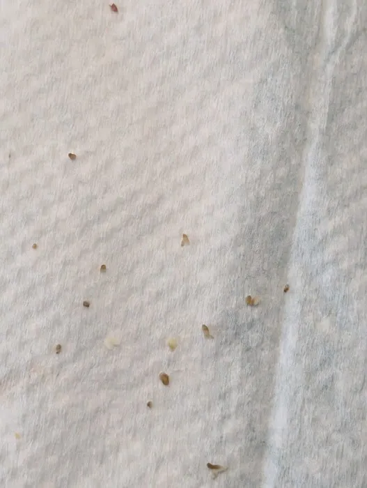 Q Beautiful Skin Picture 3