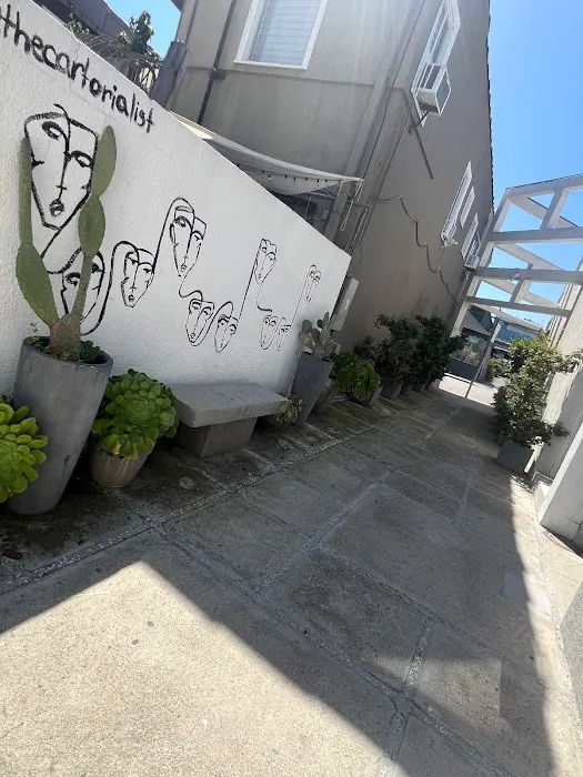 Jocelyn Rose Skin Picture 2