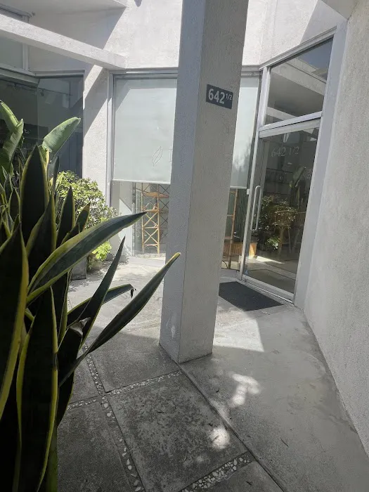 Jocelyn Rose Skin Picture 6