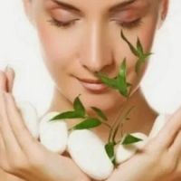 Vlady at Balance ico