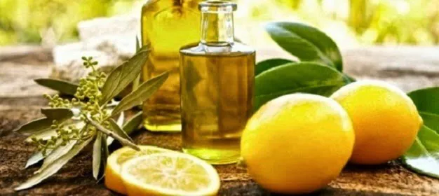 Vlady at Balance Picture 2