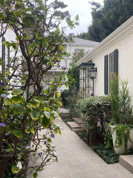 Nikol Iira Skin Care Picture 7