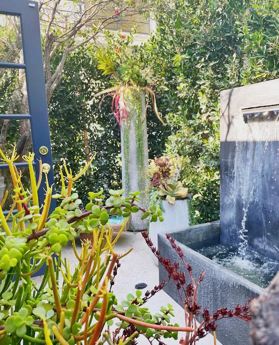 Casey Powell PA Aesthetic Injector & Skincare Specialist Picture 6