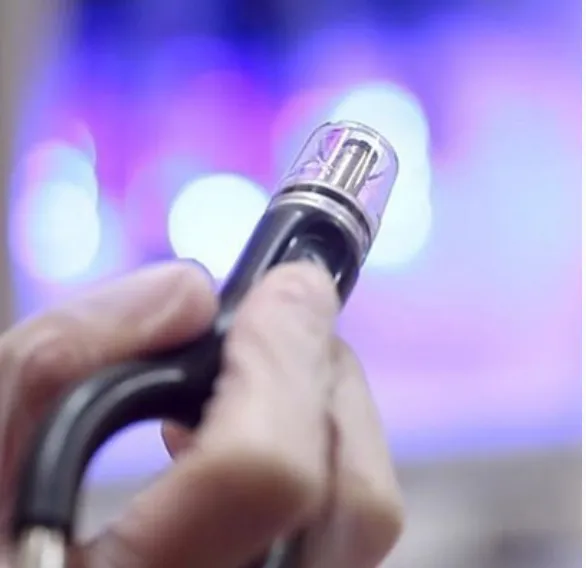 be well {groomed!} Picture 4