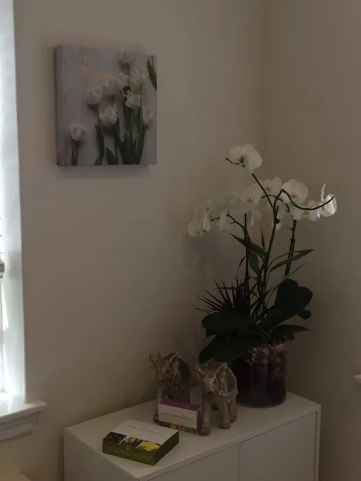 MT Skin Clinic Picture 4