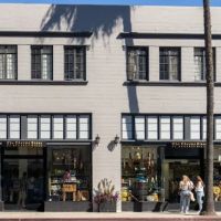 The Peel Connection ico