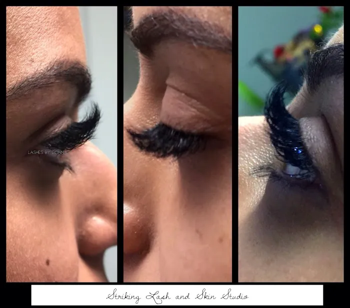 Striking Lash and Skin Studio Picture 2