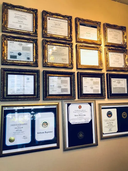 DELUXE MED SPA Picture 4