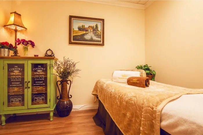 DELUXE MED SPA Picture 6