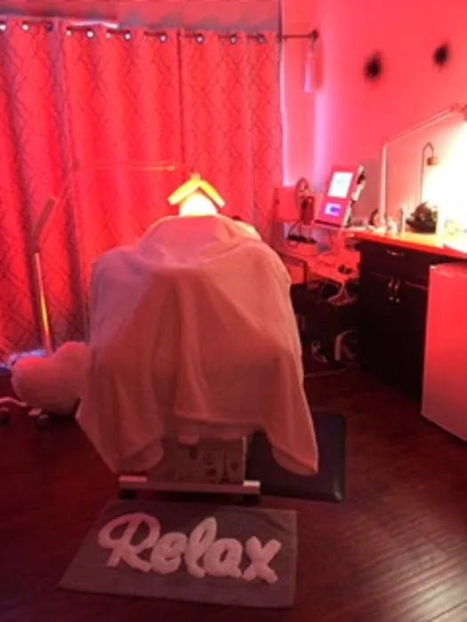 Ageless Complexions by Karen Lynne Picture 1