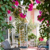 Gina Schober Esthetics ico