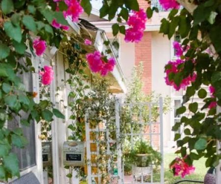 Gina Schober Esthetics