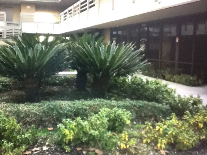 The Facial Company Acne Clinic Picture 4