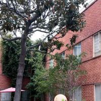 Aère Aesthetics ico