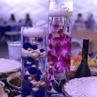 European Secret Skin Care ico